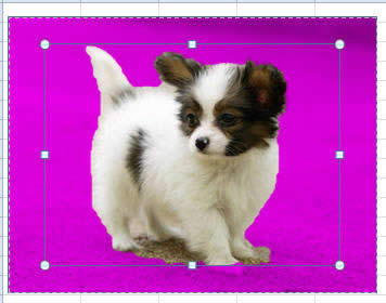 Excel2010�Զ�ѡ��ǰ���ͱ���