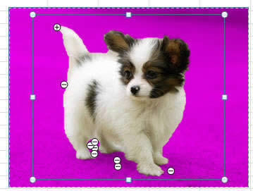 ����ɾ���ͱ������