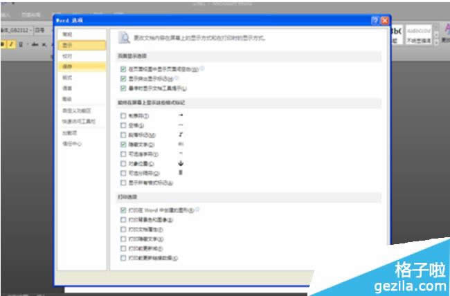 office2010������������