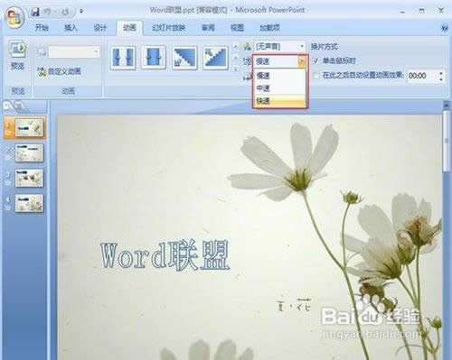 powerpoint2007����ͼƬ���л�Ч��
