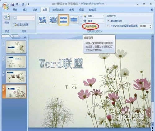 powerpoint2007����ͼƬ���л�Ч��