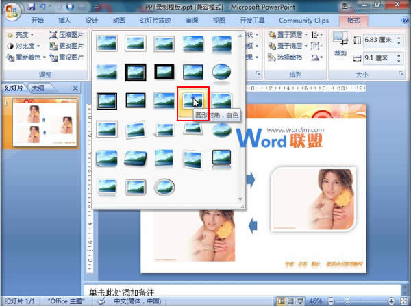 ��PowerPoint2007�п���Ӧ��ͼƬ��ʽ  ����