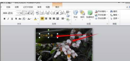 ppt2007��ô��ͼƬ�����һ�� ����