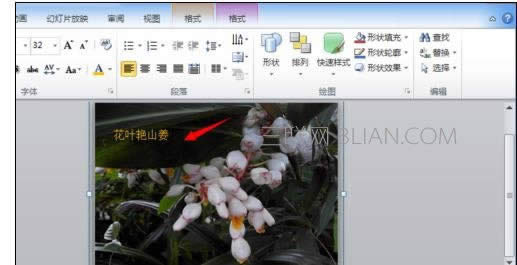 ppt2007��ô��ͼƬ�����һ��