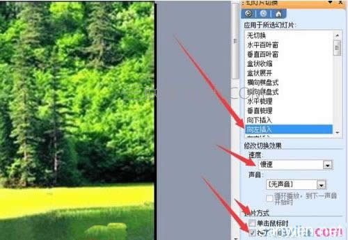 ��ppt2007�����������Զ�����