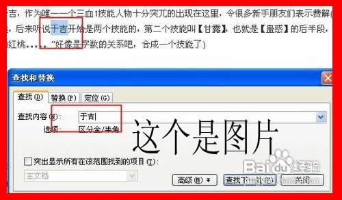 WPS���ֲ��Һ��滻����