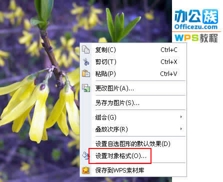 ����wps��������ˮӡ