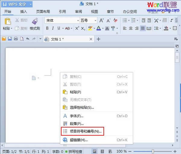 WPS����2013��Ŀ���ŵĲ���