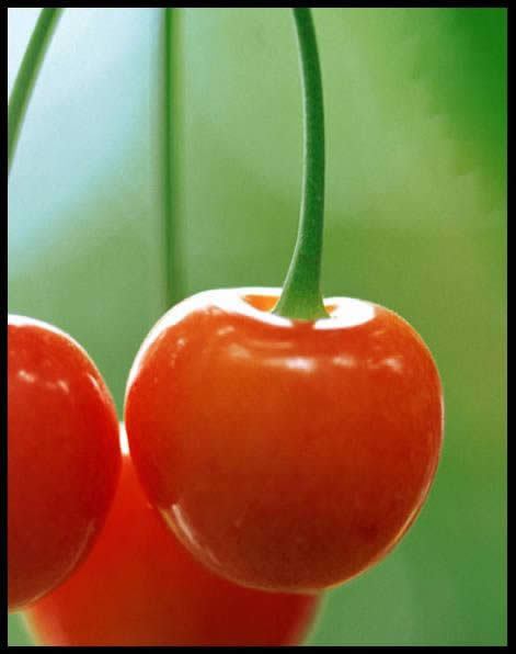 WPS���ּ��ɣ�����һ��ӣ�� ���Ľ̳�