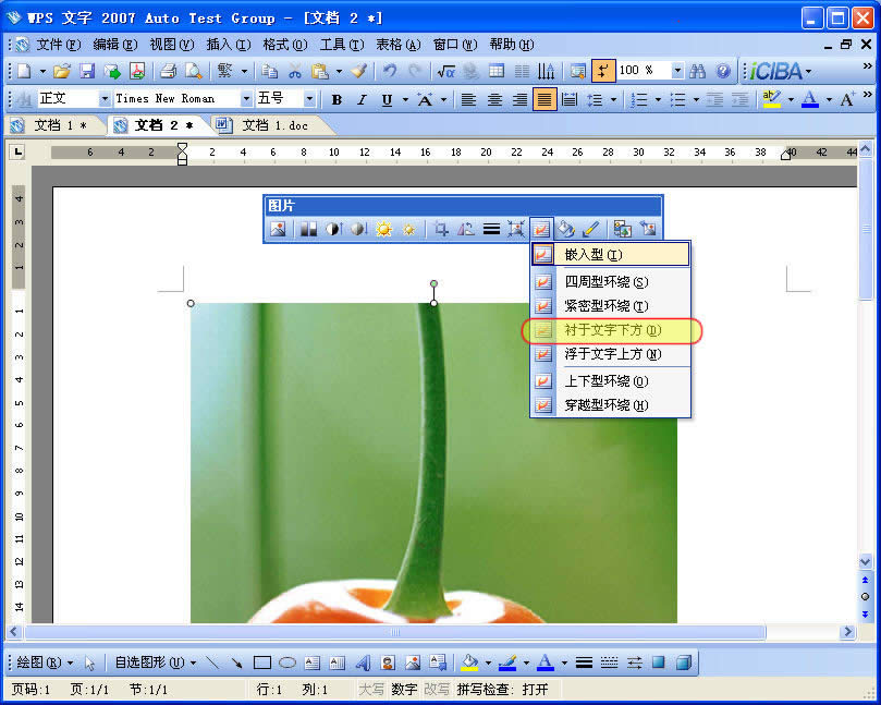 ӣ��_0037_ͼ�� 1.jpg