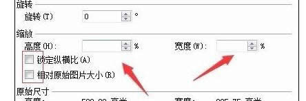 wps������δ�ֲ�����ͼƬ�ߴ�