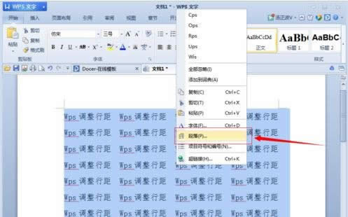 wps������������ּ����