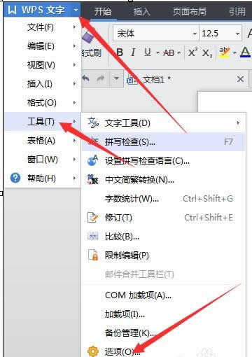 wps��������ǩ�� ������wps��������ǩ�� ����