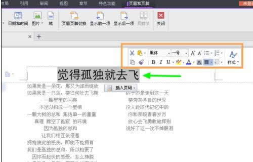 wps��������Ű� wps�����Ű漼��