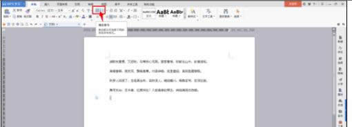 wps�������������ø�����Ŀ����