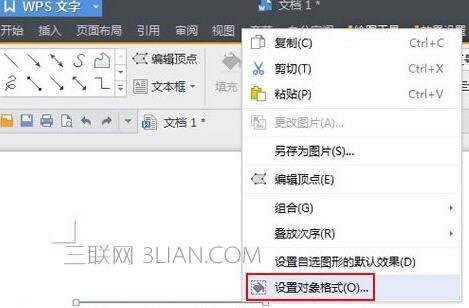 wps����������������