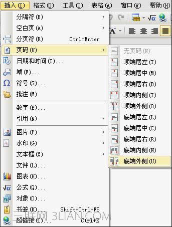 WPS������α�ݲ���ҳ��