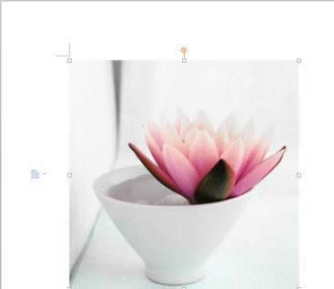 wps������β�����Ƭͼ��