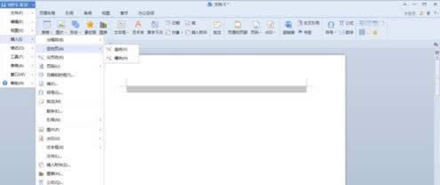 wps��������ô��ҳ