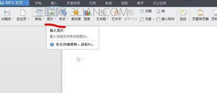 wps����������ͼ��