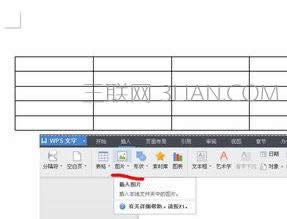 wps������ô��ͼ��_wps������ô����ͼ��