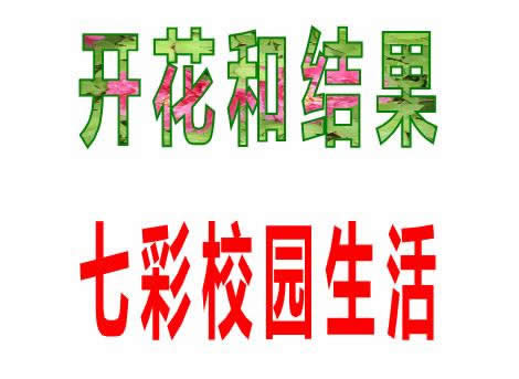 WPS��ʾ�̳̣��������Ч���ڿμ������е�Ӧ��