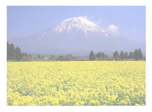 WPS��ʾ�̳̣��������Ч���ڿμ������е�Ӧ��