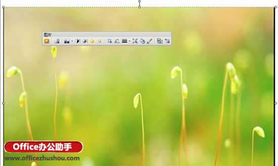 ʹ��WPS��ʾ��ĸ�湦��ʵ�ֻõ�Ƭ�ı�������