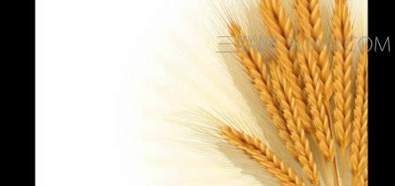 wps演示幻灯片页面大小怎么设置