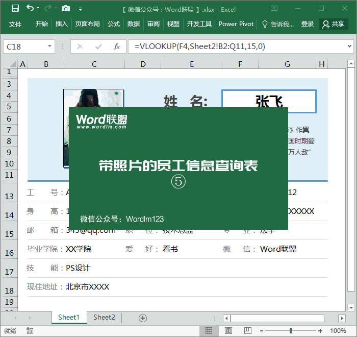 ���ָ߶˱���ģ���������Excel��������Ƭ��Ա����Ϣ��ѯ��