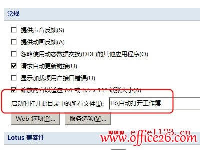 �����ɴ�Excel2007ʱ�Զ��򿪹������ļ�