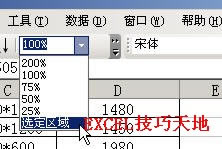 �����Excel�зŴ����Сѡ��������