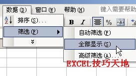 Excel�еĸ߼�ɸѡ�����̳�_��վ