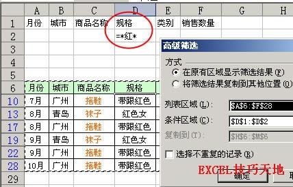 Excel�еĸ߼�ɸѡ����ͼ�Ľ̳�