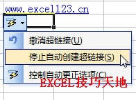 Excel�ڵ�Ԫ�������������ַʱ���Զ�ת��Ϊ������_��վ