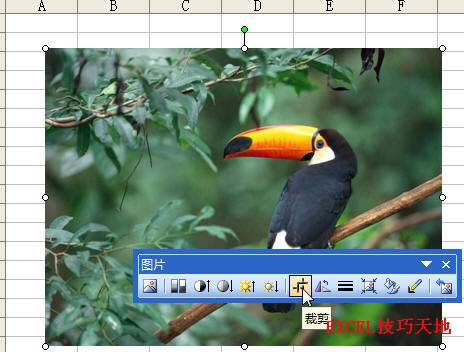 �����Excel�в��в����ͼƬ