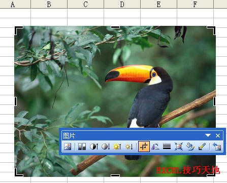 �����Excel�в��в����ͼƬ_��վ