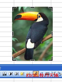 �����Excel�в��в����ͼƬ_��վ