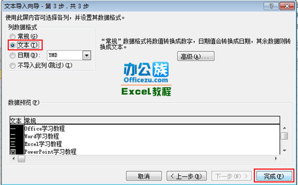 Excel2010����������ε���.txt�ļ�