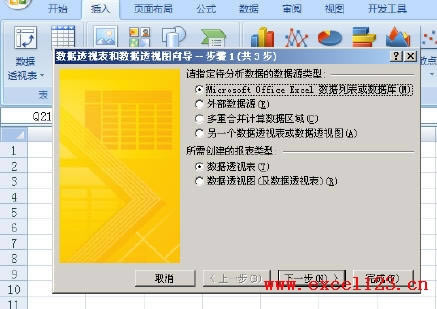 �������Excel2007����͸�ӱ�������͸��ͼ��_��վ