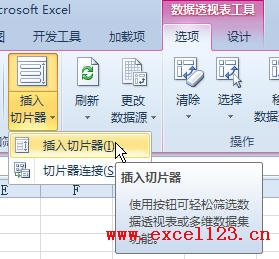 Excel2010����͸�ӱ�ɸѡ��������Ƭ��ʹ�ý̳�_��վ