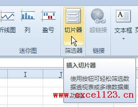 Excel2010����͸�ӱ�ɸѡ��������Ƭ��ʹ�ý̳�_��վ