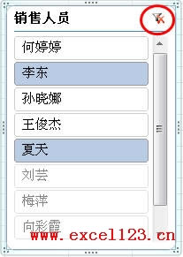 Excel2010����͸�ӱ�ɸѡ��������Ƭ��ʹ�ý̳�_��վ