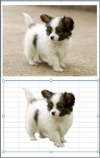 Excel2010�½��湦�ܼ��_��վ