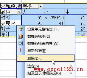 ���ɾ��Excel����͸�ӱ�_��վ