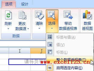 ���ɾ��Excel����͸�ӱ�_��վ