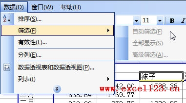 Excel������͸�ӱ���Ϊ�������������Զ�ɸѡ_��վ
