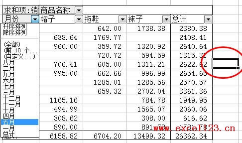 Excel������͸�ӱ���Ϊ�������������Զ�ɸѡ