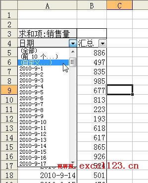 ������excel����͸�ӱ��н�������ɸѡ��_��վ