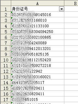 excel��������Զ�ɸѡ�ҳ�λ������������֤��